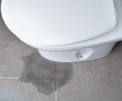 トイレの水漏れの原因と修理方法 自分で直すやり方 コツ 生活救急車