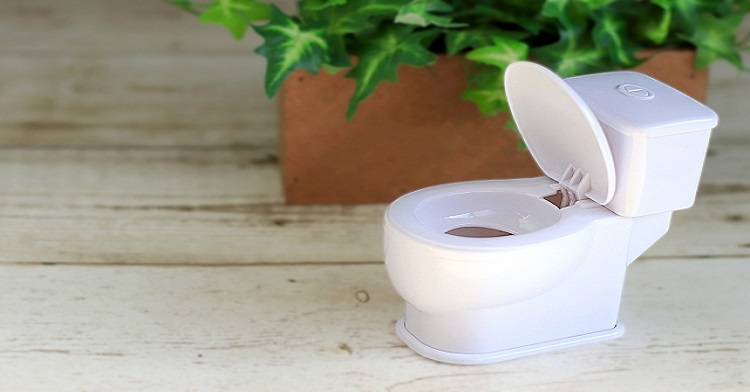 トイレの水漏れの原因と修理方法 自分で直すやり方 コツ 生活救急車