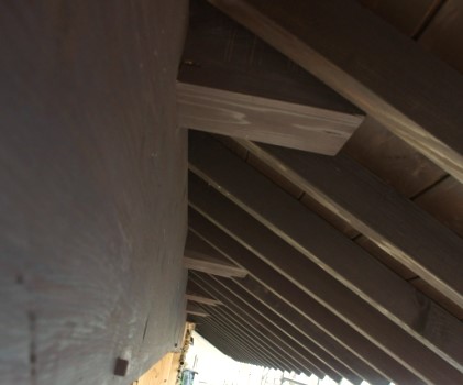 屋根裏に動物がいる その正体は すぐに追い出す対策について 生活110番