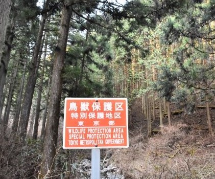 害獣捕獲用の罠の設置は免許が必要！取得条件や試験内容まで解説 